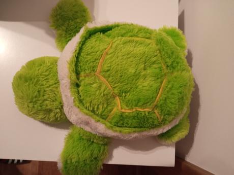 Korytnačka vankúšik, 