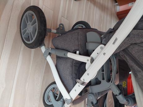 Kočík camarelo, camarelo,camarelo sirion