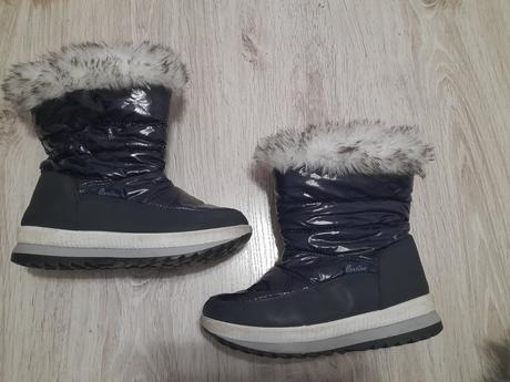 Snehule cortina, 34