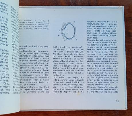 Stretnutia v hlbinách,