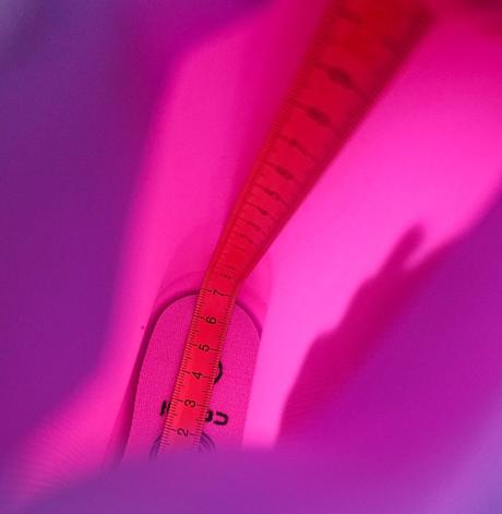 Coqui ružové gumáky 26, coqui,26