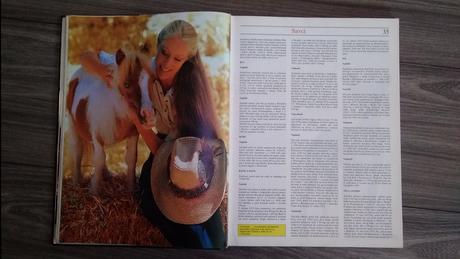 Guinnessova kniha rekordov,