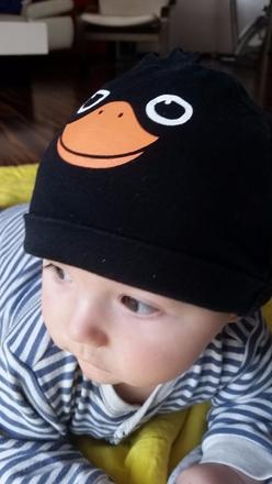 Ciapocka tucniacik h&m 561, h&m,74