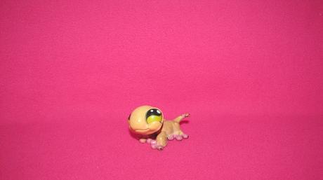 Lps gekon, 