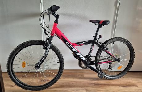 Bicykel, ctm,24