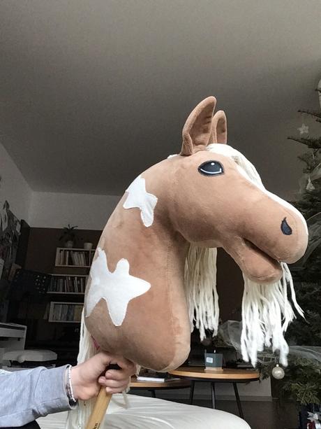 Hobby horse,