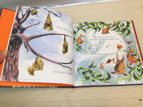 Kate prendergast sleep hb nsu21, 