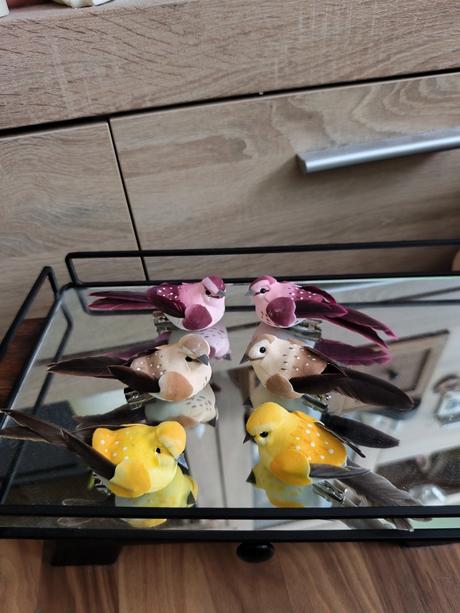 Vtáčiky na štipci, 