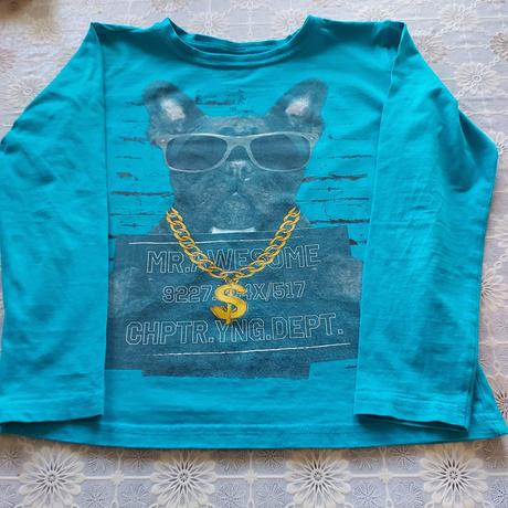 Tričko so psíkom, 134-140, chapter young,134