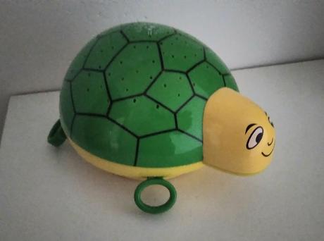 Svietiaca korytnačka, 