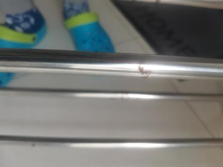 Botnik/lavica na topanky, 