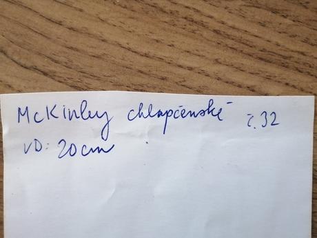 Turistické topánky č. 32 mckinley, mckinley,32