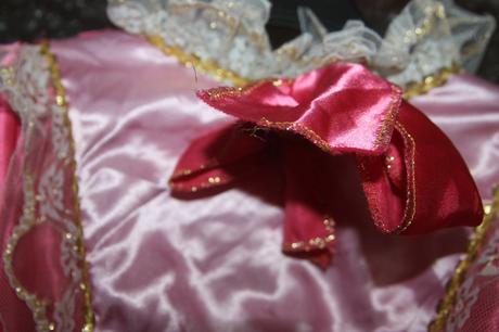 Kostym /saty sipkova ruzenka, 