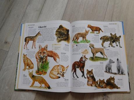 Obrázková encyklopédia zvieratá., 