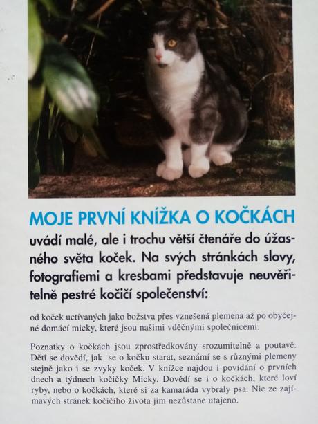 Moja prvá knižka o mačkách-ingrid andersson,
