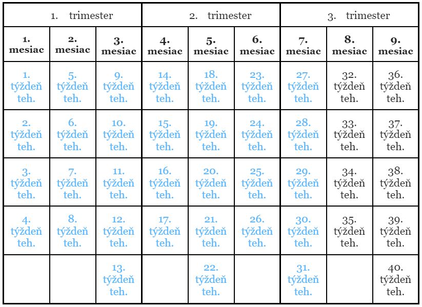 7. mesiac tehotenstva týždne a trimester