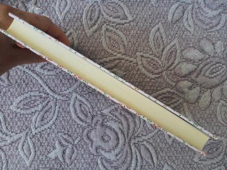 Amber vanová nekonečný bozk, 