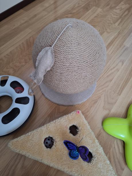 Hračky pre mačičky, 