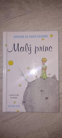 Malý princ, 