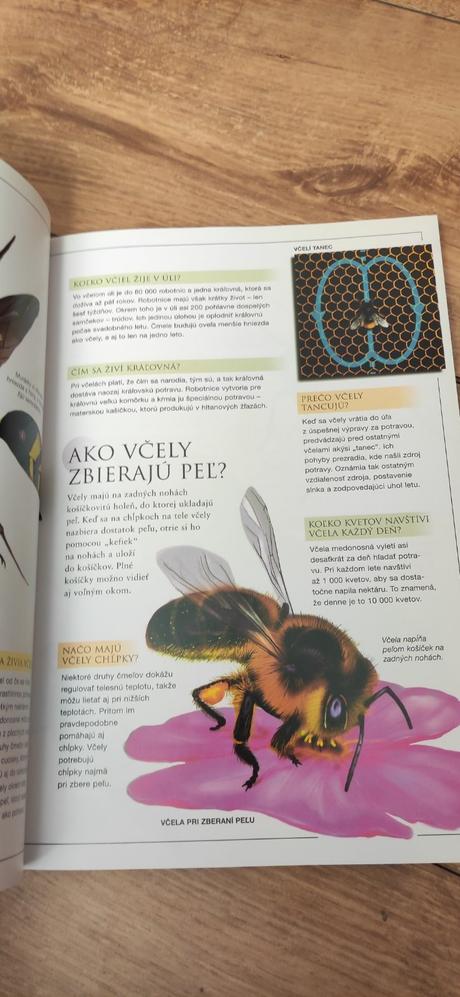 Otázky a odpovede zvieratá, 