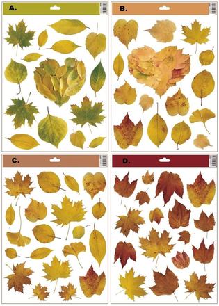 Okenná fólia jesenné listy 30x42cm,
