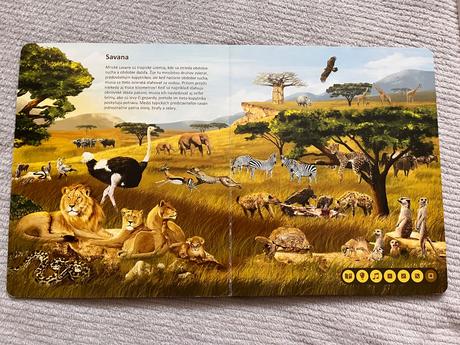 Kúzelné čítanie,