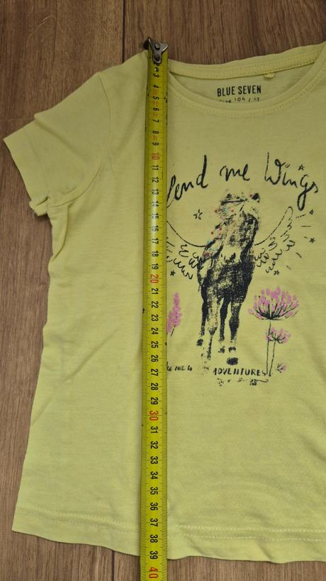 Tricko s konikom, 104