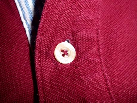 Polo, tommy hilfiger,l