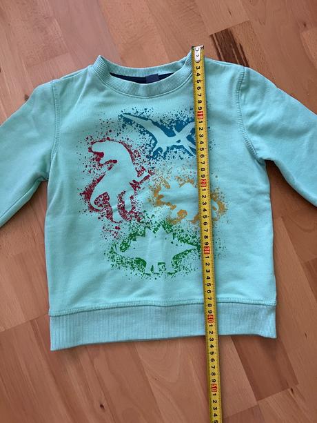 Mikina - dinosauri, dopodopo,110