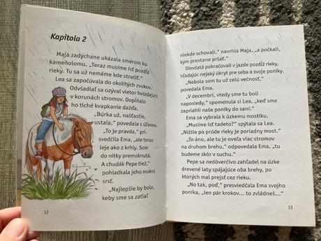 Boj o tajnú skrýšu (2010),