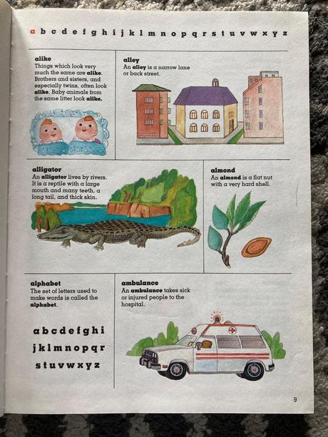 Children's first dictionary (1990), 