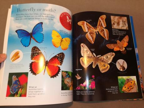 Flying stickers - butterflies and moths nau22, 