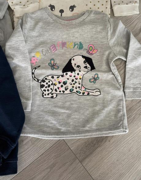 Dievcenske mikiny, 104