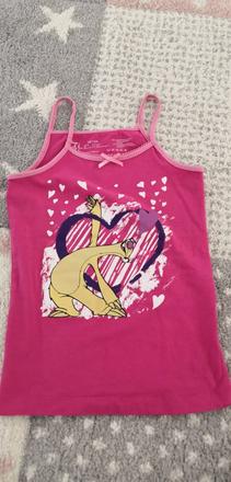 Tielko doba ľadová, 104