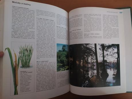 Abc prírody - svet v otázkach a odpovediach (1997), 