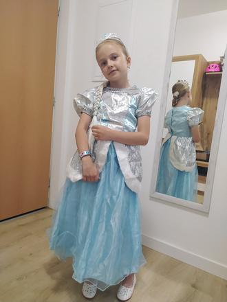 Karnevalový kostým elza,