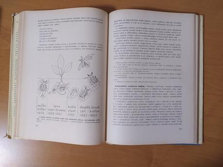 Metodika prírodopisu (1964), 