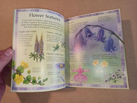 The usborne little book of flowers, 
