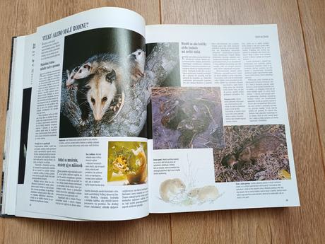 Sukromie zivocichov, 