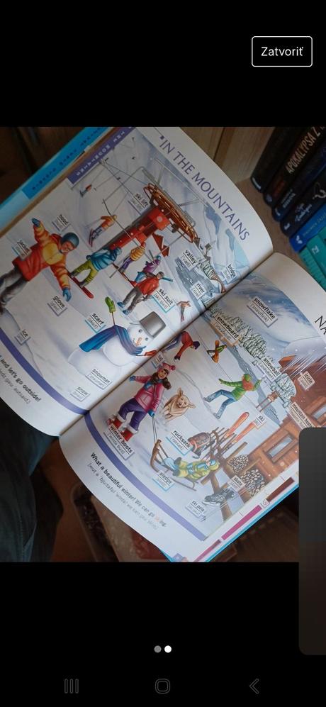 Ilustrovaný slovník, 