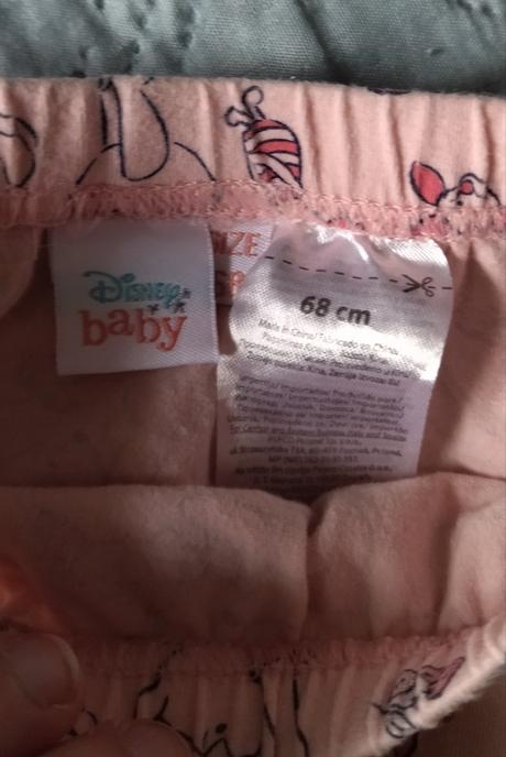 Pudláče, disney,68