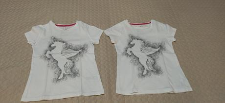 Tričká pre dvojičky, 110