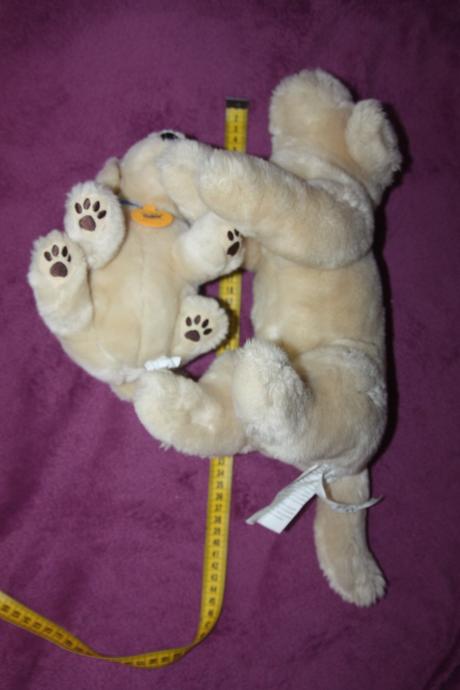 2x golden retriever, 