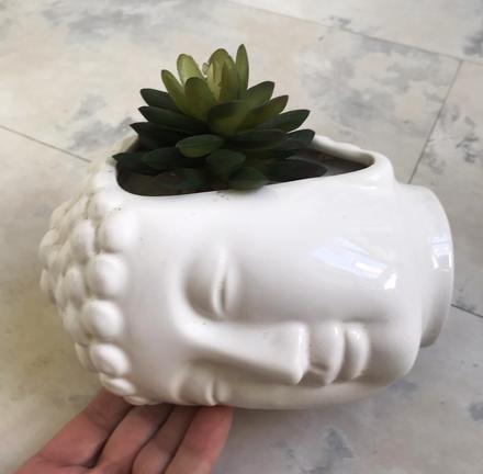 Kvetináč so skalničkou, 