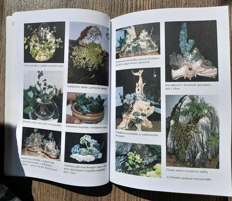 Minizahrádky v bytě, 