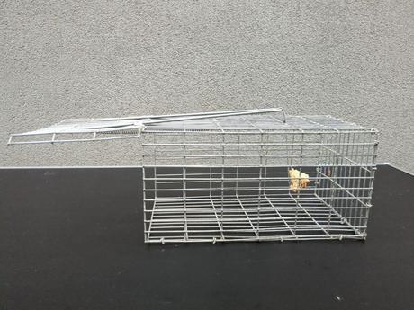 Pasca na potkany celokovová 30 x 17 x 15 cm,
