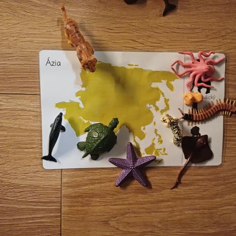 Zvieratá kontinentov, 