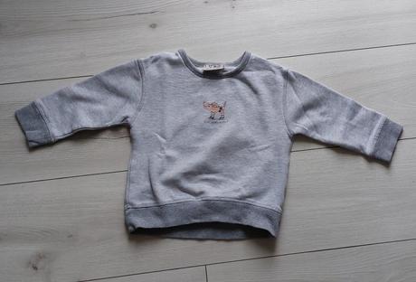 Mikina psík, next,92