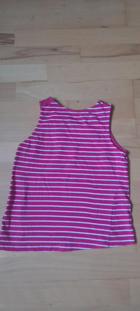 Tielko calliope, calliope,104