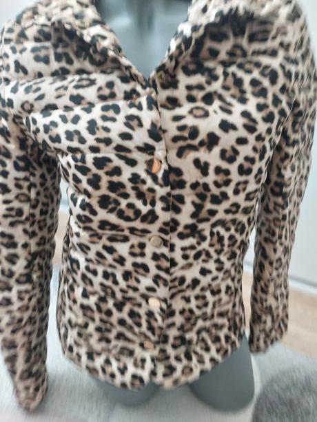 Prechodná bunda leopard, 34